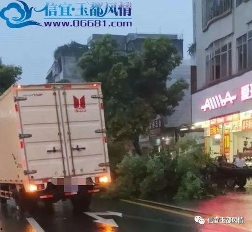 广州大南路爆料案件最新,惊曝惊人内幕，真相即将揭晓  第3张